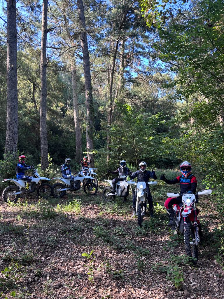 El grupo en el bosque, Les Gavarres