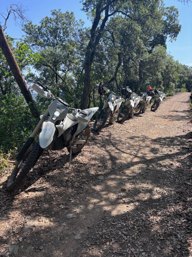 Pista de alcornocal, Les Gavarres