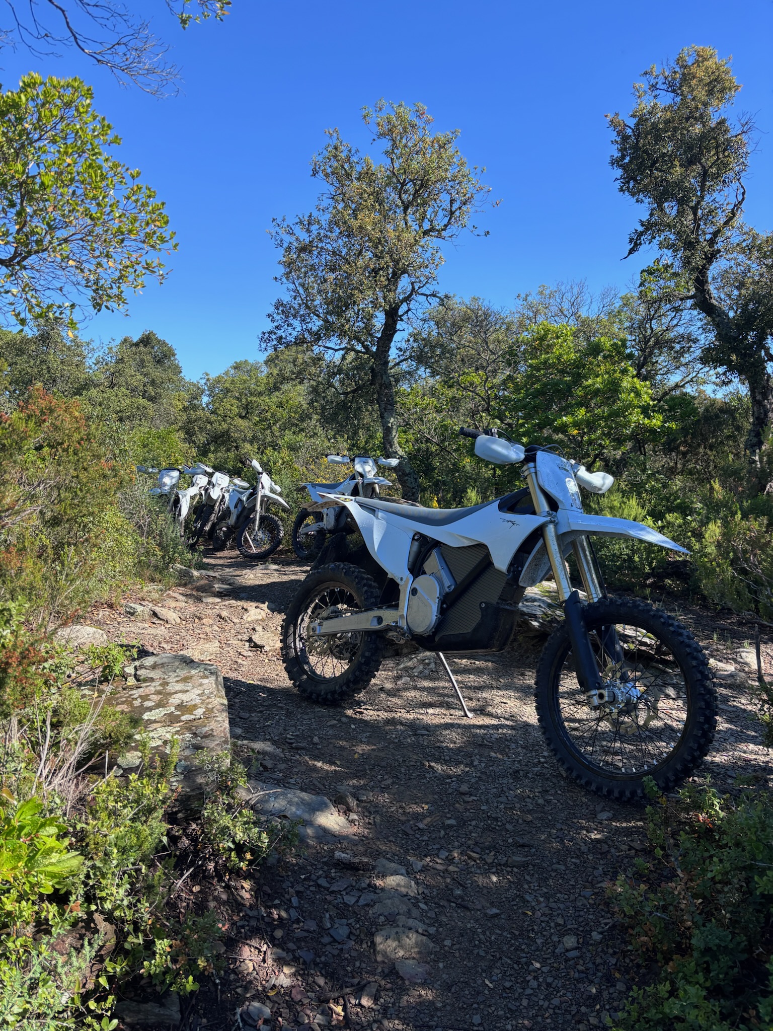 Motos Stark Varg EX en fila en un sendero de bosque